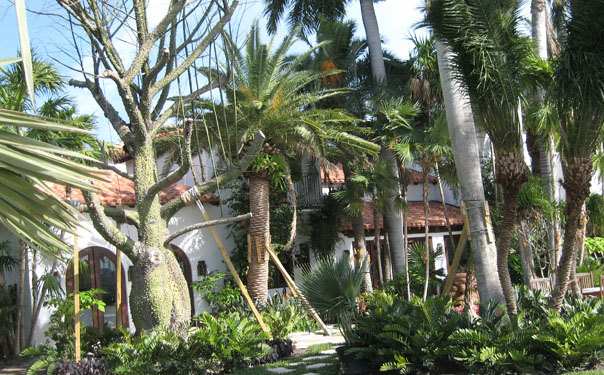 Beautiful tile Roof in Miami